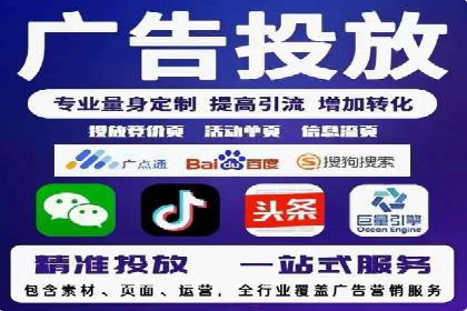 竞价广告与自然搜索的结合策略：XX网站的案例分析